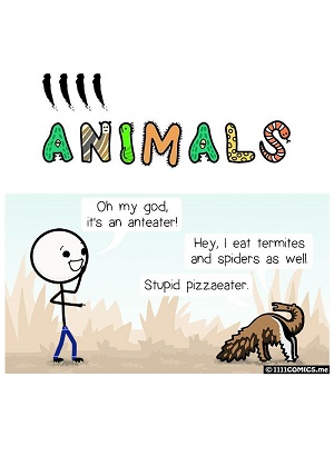 1111 Animals