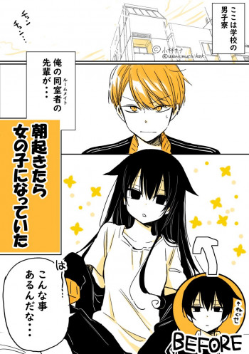 About a Lazy High School Guy Who Woke Up as a Girl One Morning (web comic)