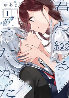 Kimi to Tsuzuru Utakata (The Summer You Were There)