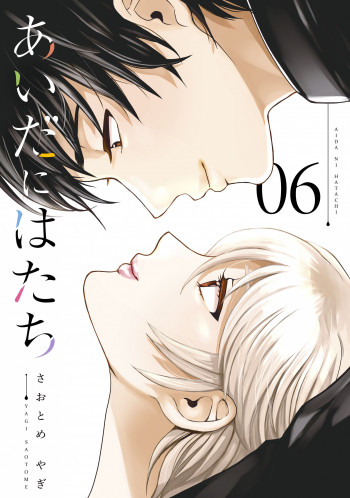 Aida ni Hatachi