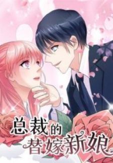 Being a Substitute for President’s Bride