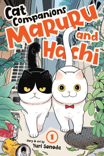 Cat Companions Maruru and Hachi