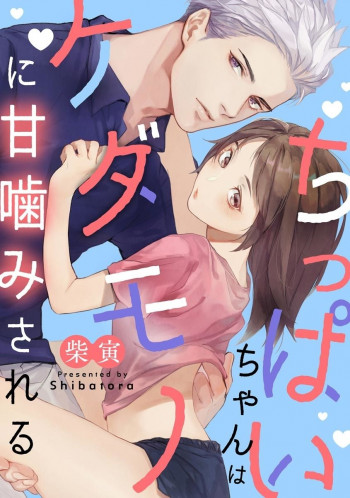 Chippai-chan wa kedamono ni amakami sa reru