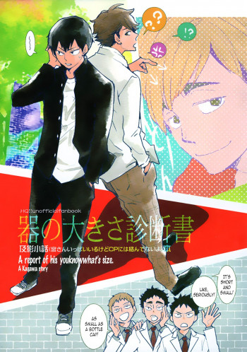Haikyuu!! - Utsuwa no Ookisa Shindansho (Doujinshi)