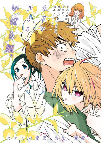 Hanamatsu Ibara Meguru Haru
