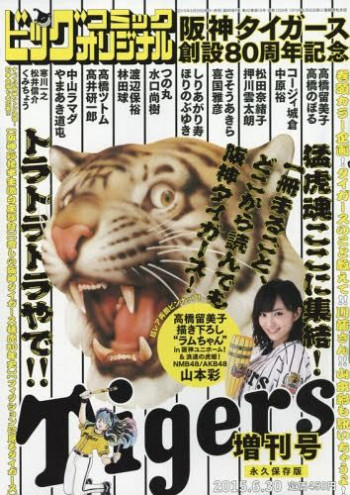 Hanshin Tigers Sousetsu 80 Shuunen Kinen Zoukan
