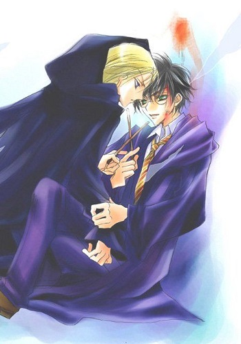 Harry Potter - Winter Rose (Doujinshi)