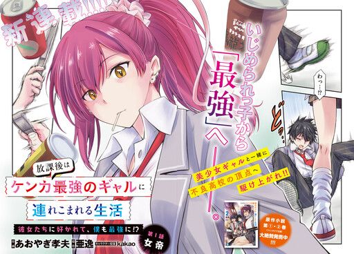 Houkago wa Kenka Saikyou no Gyaru