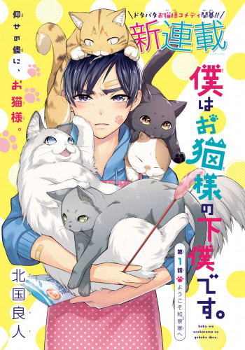 I am Their Catships' Catservant