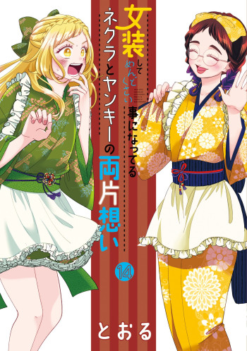 Josou Shite Mendoukusai Koto ni Natteru Nekura to Yankee no Ryou Kataomoi