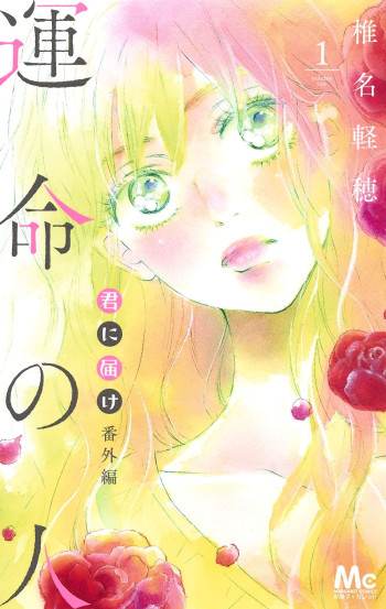 Kimi ni Todoke Special ~Soulmate~