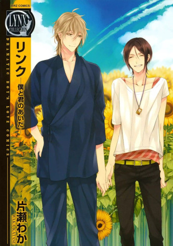 Link - Boku to Kimi no Aida