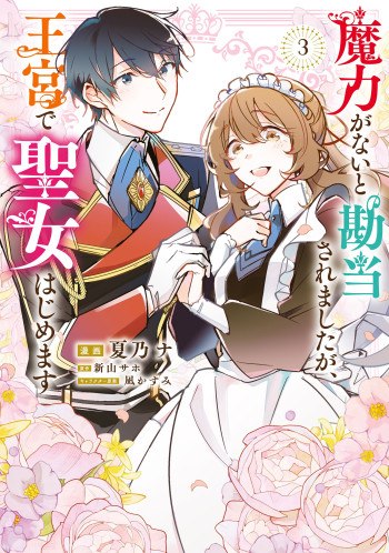 Maryoku ga nai to Kandousaremashita ga, Oukyuu de Seijou Hajimemasu