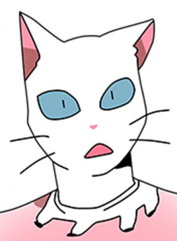 Meow Man