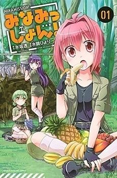 Minamission