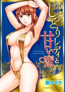 Shittori Lady to Amai Mitsu (Sweet Honey of a Graceful Lady.)