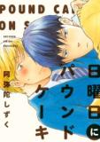 Nichiyoubi Ni Pound Cake