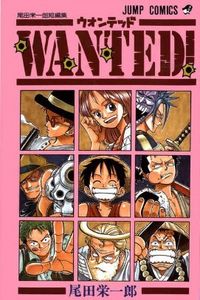 One Piece: Wanted!