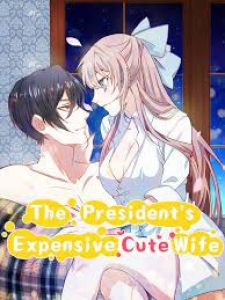 President’s Priceless Wife
