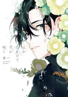 Yoru ga Hodokete Hana ga Saku (Flowers Bloom as the Night Unravels)