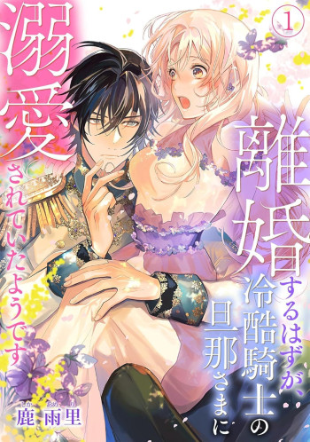 Rikon Suru Hazu Ga, Reikoku Kishi No Danna Sama Ni Dekiai Sareteita Youdesu