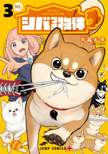 Shiba Inu Rooms