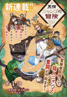 The Adventures Of Black Cat Nyango: Since I Got A Rare Attribute, I Aim To Be A Carefree Adventurer