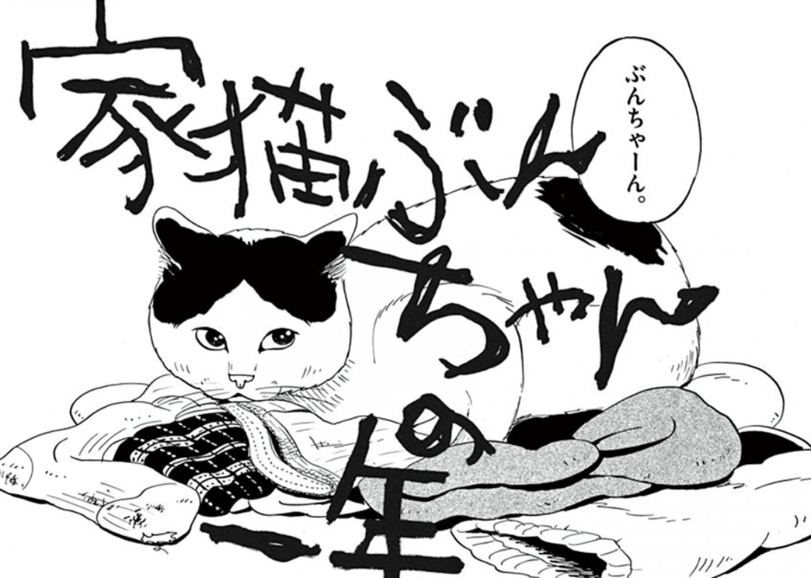 The Life of Domesticated Cat Bun-chan