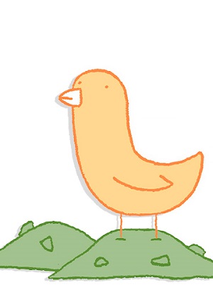 Trash Bird