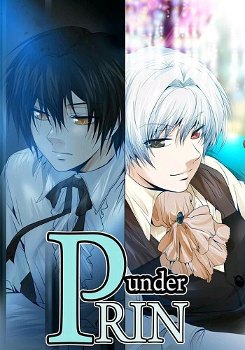 under PRIN