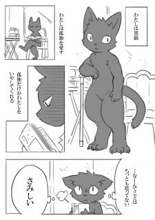 White Cat and Black Cat