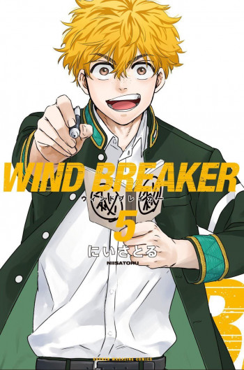 Wind Breaker (NII Satoru)