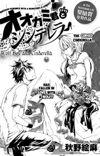 Wolf Boy and Cinderella