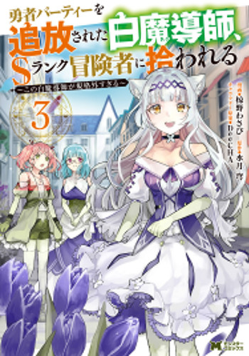 Yuusha Party Wo Tsuihou Sareta Hakuma Doushi, S Rank Bouken-Sha NI Hirowareru ~ Kono Hakuma Doushi GA Kikaku-Gai Sugiru ~