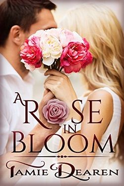 A Rose in Bloom