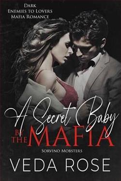 A Secret Baby By the Mafia