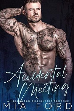 Accidental Meeting (Accidental Hook-Up 3)