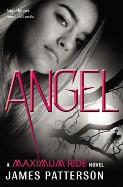 Angel (Maximum Ride 7)