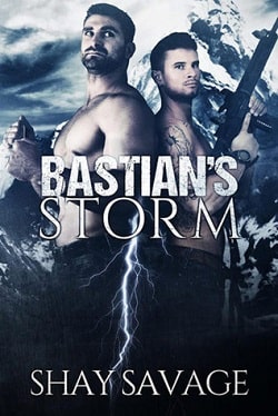 Bastian's Storm (Surviving Raine 2)