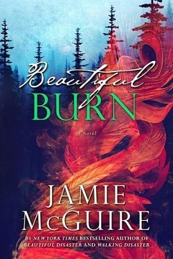 Beautiful Burn (The Maddox Brothers 4)