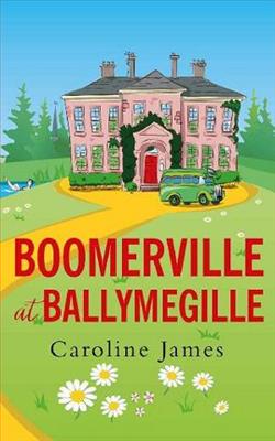 Boomerville at Ballymegille