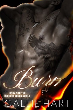 Burn (Blood & Roses 3)