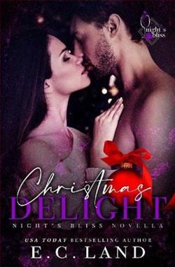 Christmas Delight (Night's Bliss 3)