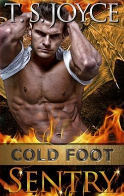 Cold Foot Sentry