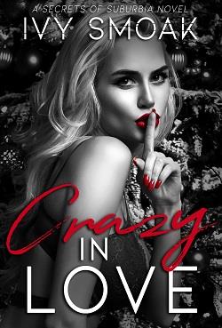 Crazy In Love (Secrets of Suburbi 3)