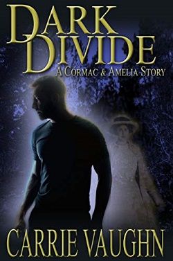 Dark Divide (Cormac and Amelia 1)