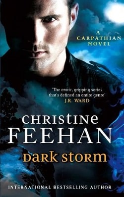 Dark Storm (Dark 23)