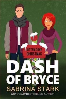 Dash of Bryce