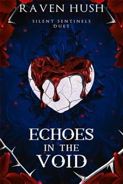 Echoes in the Void