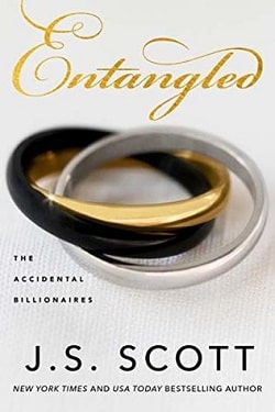 Entangled (The Accidental Billionaires 2)